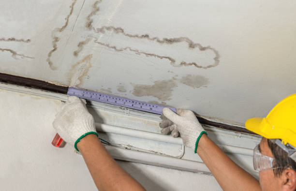 Reliable Basement Flooding contractor in Reading, MI by Local Water Damage Repair